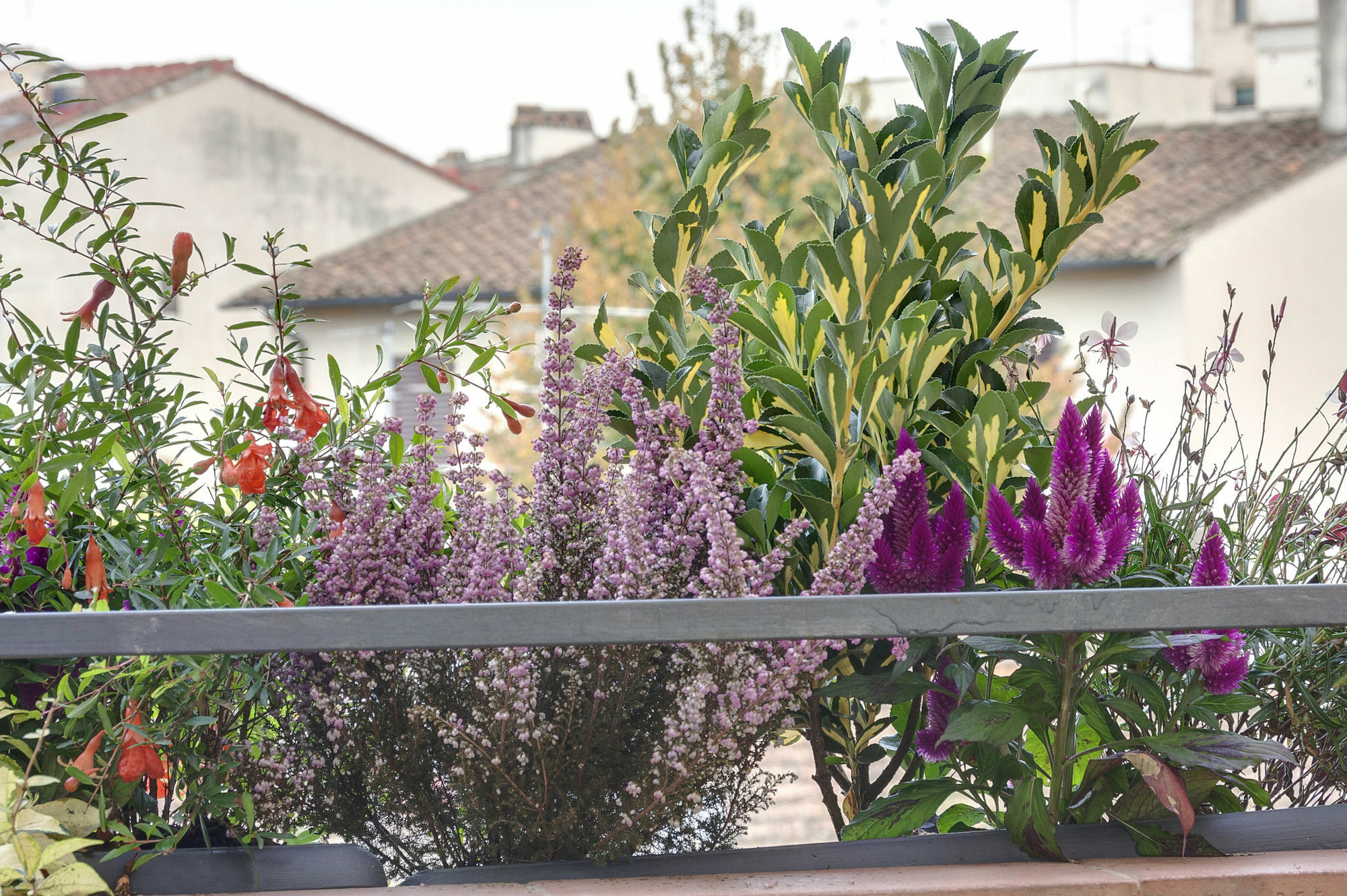 Dolce Vita Suite Florenz Exterior foto